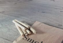 SMOKE VEGGIE, una bocanada más saludable