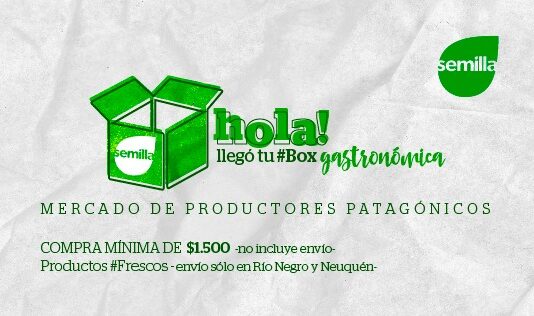 SEMILLA RENUEVA SU ESPÍRITU EMPRENDEDOR DE FORMA ONLINE