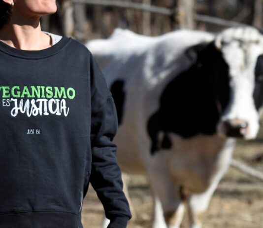 JUST BE, el futuro de la moda es vegano
