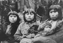 Cuerpos colonizados, ropas sin raíces